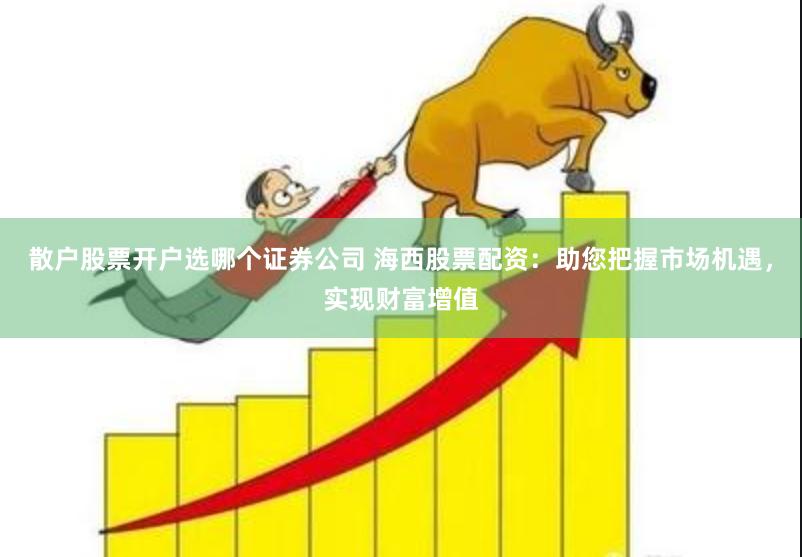 散户股票开户选哪个证券公司 海西股票配资:助您把握市场机遇,实现财富增值