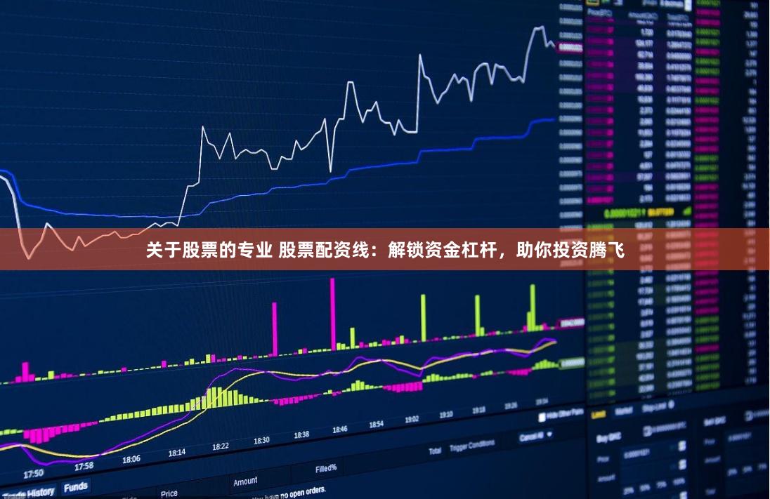 关于股票的专业 股票配资线：解锁资金杠杆，助你投资腾飞