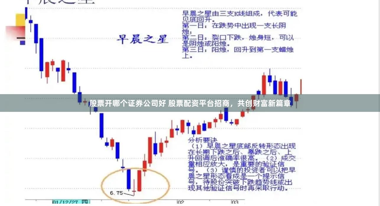 股票开哪个证券公司好 股票配资平台招商，共创财富新篇章