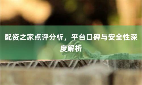 配资之家点评分析，平台口碑与安全性深度解析
