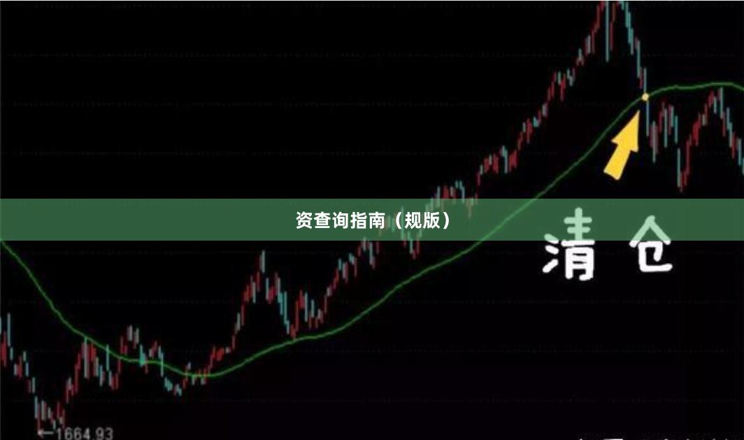资查询指南（规版）